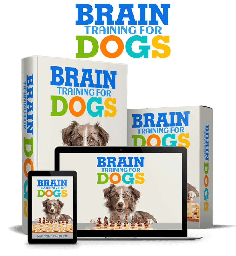Brain Training for Dogs complete program materials