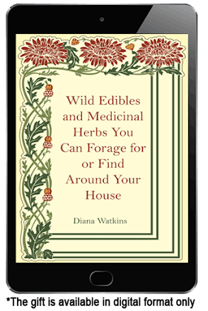 Wild Edible and Medicinal Herbs You Can Forage or Find Around the House