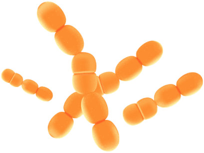 Synaptigen